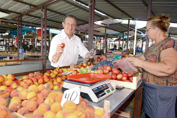 Жика Николић: Шареница је права слика Србије